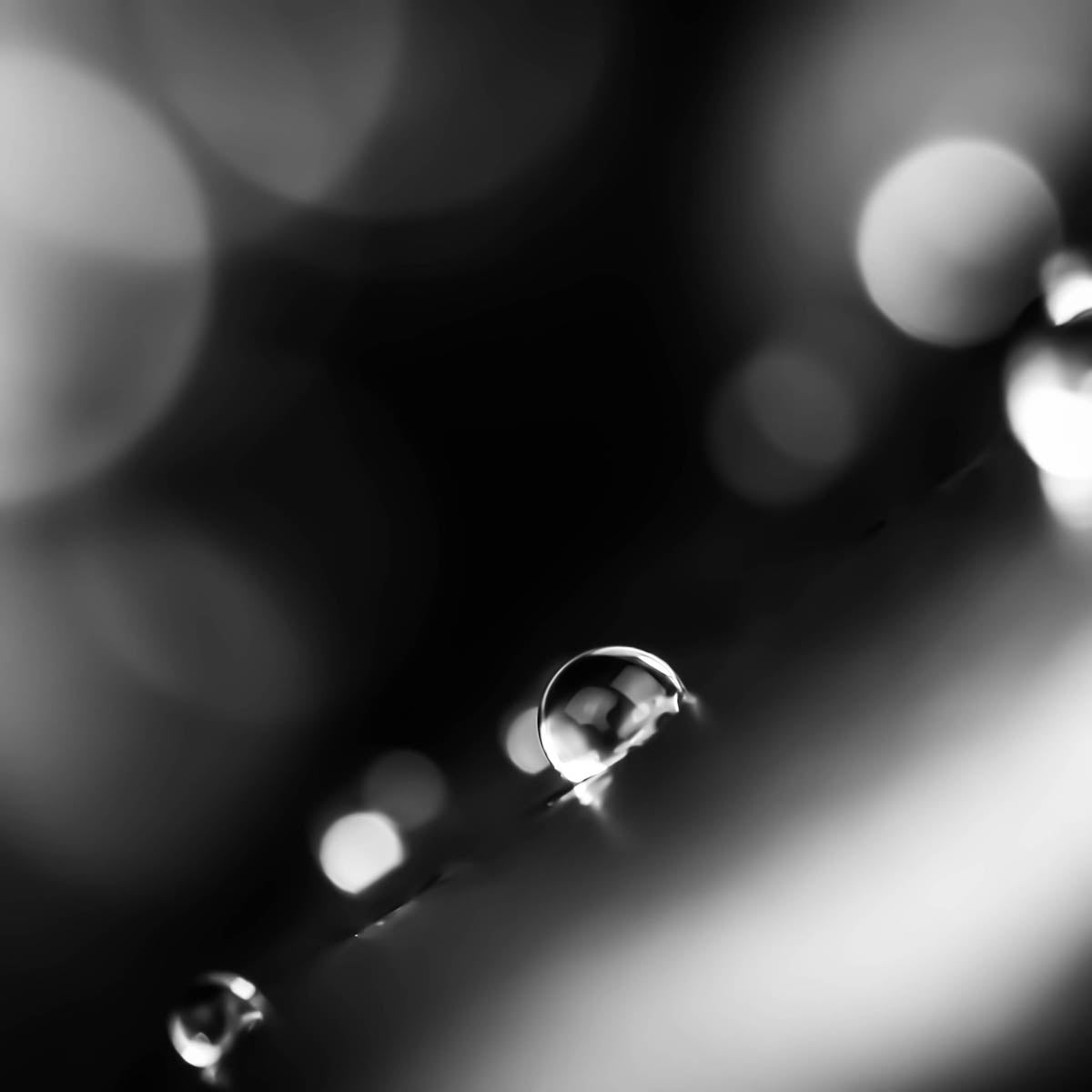 Wash + Repel Down 2 in 1