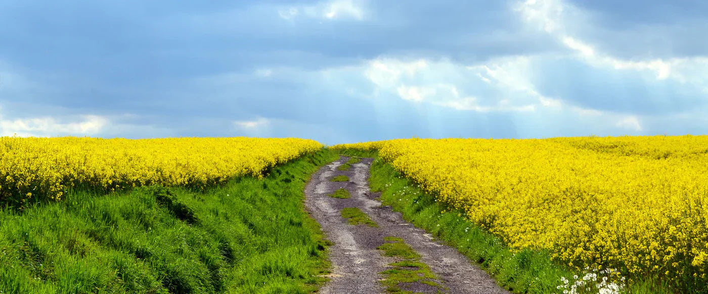 Step Outside This Spring!