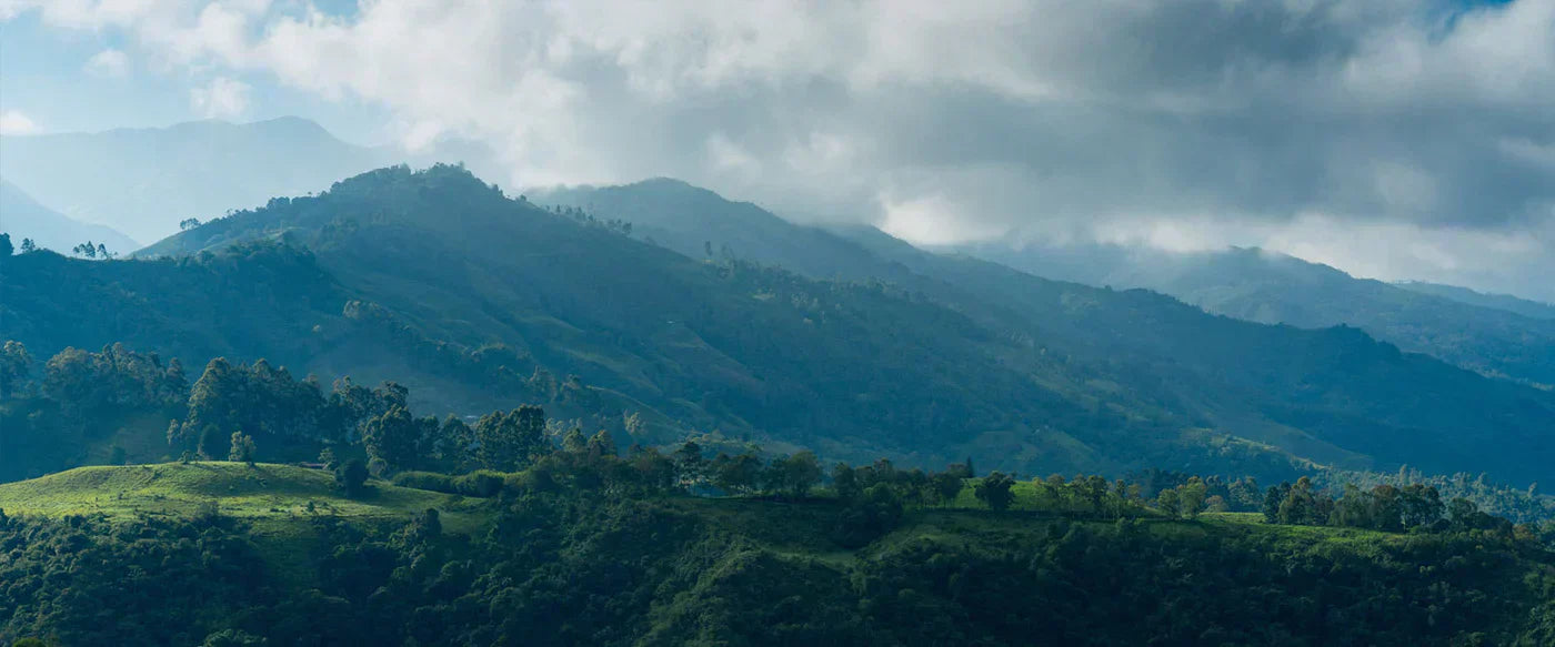 Let’s Protect the World We Love to Explore